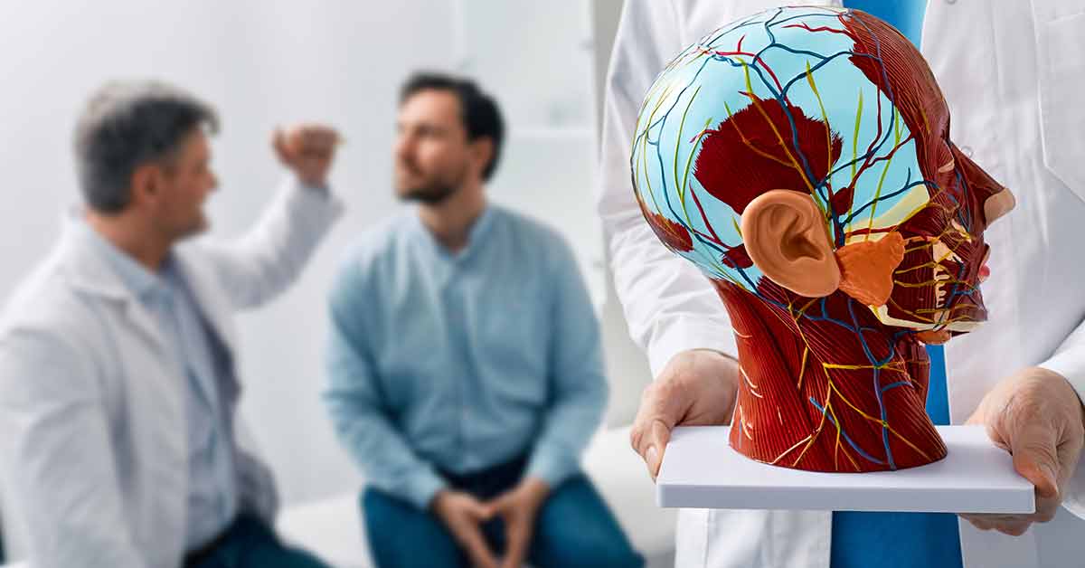 plastic model of human head