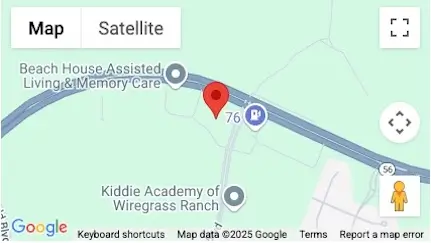 Wesley Chapel Mini Map