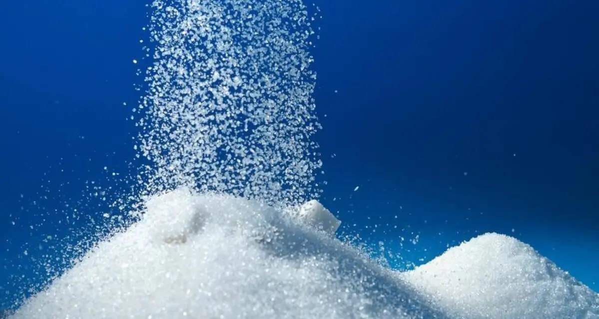 Sugar and cancer article featured image