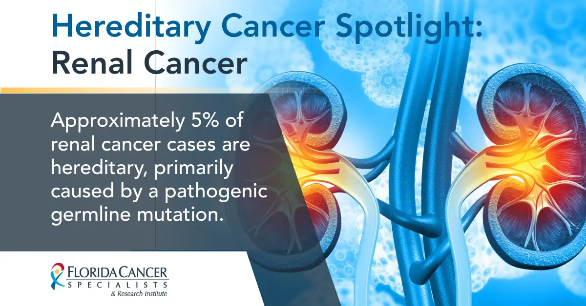 Illustration of human kidneys highlighting hereditary renal cancer, noting approximately 5% of cases are caused by a pathogenic germline mutation